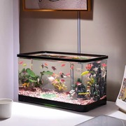 鱼缸家用办公室招财摆件，桌面生态智能水族箱，电视柜旁造景乌龟缸
