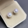 10-13mm白色强光无核淡水珍珠，耳钉诸暨天然珍珠，耳钉耳环银针