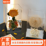 永生花镜面向日葵蒲公英干花礼盒六一儿童节创意礼物