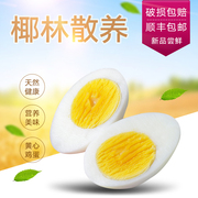 老番客牌文昌椰子林散养鸡蛋30枚/1500g黄心新鲜营养土鸡蛋农家