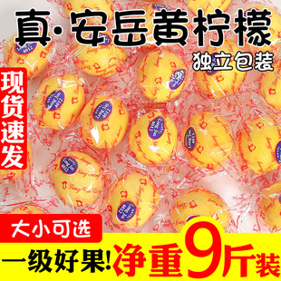 四川安岳黄柠檬(黄柠檬，)新鲜水果，当季一级5斤皮薄整箱甜青香柠檬