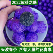 云南普洱茶生茶紫芽龙珠，易武荒山大树小沱茶，迷你生龙珠茶叶250克