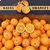 2024美国进口新奇士(新奇士)黑标3107脐橙子，5斤新鲜当季水果大果甜橙