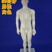 人体铜人中医针灸模型经络，模型人体经h络模型，经络穴位模型人体穴