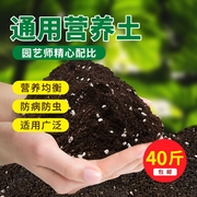 营养土养花通用型种菜专用种花土壤花肥多肉，家用盆栽种植花土发酵