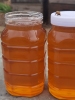 蜂蜜纯正天然野生农家自产蜂蜜野生枣花蜜500g