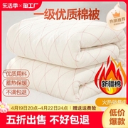 新疆一级长绒棉被棉花被子被芯，棉絮床垫被褥子，手工冬被全棉纯棉花