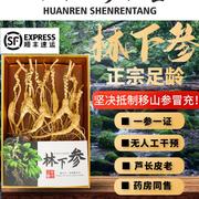 人参长白山野山参林下参籽货干参20年足龄产地直发礼盒煲汤泡酒参