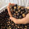 今年新鲜野果5斤野生米锥栗小板栗勾园子山货零食坚果特产