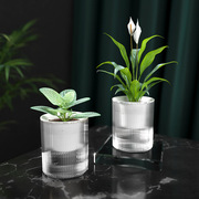 多肉绿萝植物懒人自动吸水小花盆设计感透明水培器皿塑料玻璃高级