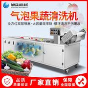 全自动果蔬洗菜机商用水果蔬菜土豆萝卜大型多功能气泡清洗机