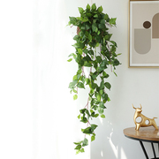 装饰遮挡仿真藤条常春藤蔓，绿植假花壁挂植物，绿叶暖气管道装饰
