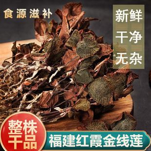 金线莲干货正宗南靖深山林地，整株500g特级非野生中药材金线莲茶