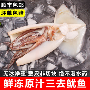 鲜冻鱿鱼免处理去皮去内脏原汁整只带头须烧烤火锅食材商用