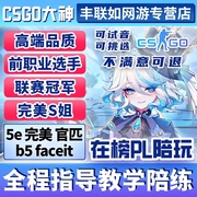 技术过硬丨csgo陪玩陪打陪练cs2教学5e完美b5官匹上分娱乐技术