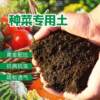 土君子兰栽培回填花卉种花营养通用型家用土壤花肥花土土有机