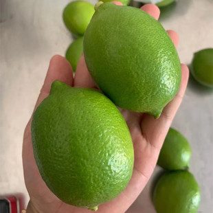 3斤起台湾品种新鲜水果青柠檬改善酸性体质vc王皮薄(王皮薄)多汁