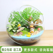 苔藓微景观生态瓶趣味植物创意办公室，diy材料包迷你(包迷你)玻璃盆栽礼物