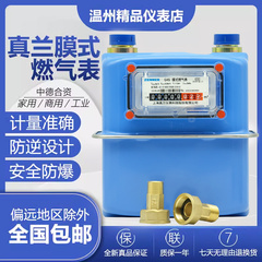 天然气表家用煤气表分表流量表液 工厂液化气表膜式燃气表