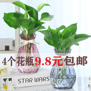 创意玻璃花瓶透明彩色绿萝观音竹植物水培，花瓶风信子插花瓶摆件