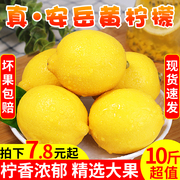 四川安岳黄柠檬10斤应当季整箱新鲜皮薄奶茶店专用现摘柠檬5