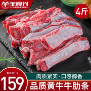 新鲜牛肋条2斤牛肉新鲜牛排，去骨牛肋条肉，冷冻牛腩肉烤肉烧烤食材