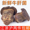 热炒煲汤好吃 Mushroom 新鲜云南美味黑牛肝菌特产食用菌菇汤蘑菇
