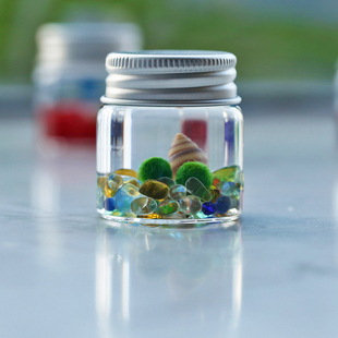 海藻球marimo生态瓶微景观创意，迷你绿植桌面，办公室学生小礼物摆件