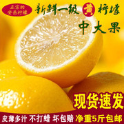 安岳黄柠檬(黄柠檬)新鲜一级水果，5斤中大果多汁不打蜡四川柠檬坏包赔