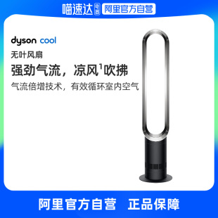 戴森（DYSON）AM07空气循环无叶风扇落地扇平稳强劲凉风