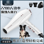 宠物专用吹风机猫咪狗狗洗澡用吹风拉毛一体吹水机小型犬吹干神器