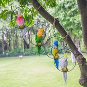 仿真鹦鹉装饰摆件假鸟 仿真鸟 装饰小鸟动物庭院花园树上装饰挂件