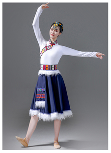 藏族舞蹈服装演出服广场舞少数民族，风民族舞艺考独舞连衣裙套