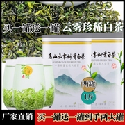 买半斤送2024新茶浓香耐泡珍稀白茶炒青茶叶，雪青绿茶罐装500g一级