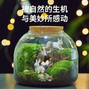微景观生态瓶苔藓，玻璃瓶水培植物，玻璃花瓶造景玻璃容器带灯