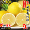 四川安岳黄柠檬(黄柠檬，)9斤新鲜水果奶，茶店专用皮薄一级香水甜柠檬