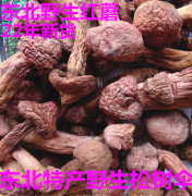 红蘑菇松树伞东北特产野生蘑菇，肉蘑菇蘑菇，小松蘑新鲜干货250g