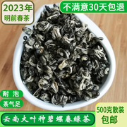 云南大叶种散装碧螺春绿茶2023年新茶栗香型特级高原高山茶叶500g