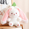 草莓兔子布偶变身小兔子玩偶公仔胡萝卜兔兔毛绒娃娃女孩生日礼物
