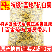 基地杭白菊无硫正宗桐乡特级朵花朵菊杭菊散装菊花茶250g