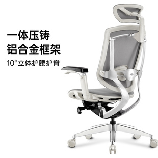 ergoup有谱致炫人体工学椅，电脑椅家用办公椅老板，护腰椅靠背可躺