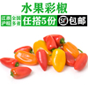 新鲜水果彩椒500g甜椒迷你小辣椒，红黄小彩椒沙拉凉拌蔬菜配菜