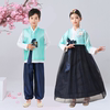 朝鲜服装儿童舞台演出服韩服，学生男女孩童，幼儿园拍摄写真礼服古装
