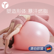 瑜伽球健身球大减肥弹力健身运动器材球练瑜伽大龙球孕妇专用助产