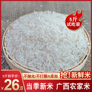 广西贵港丝苗米23年现磨不抛光大米新米农家长粒软香米细晚稻5斤