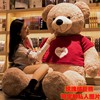 大熊娃娃特大号泰迪熊猫抱抱熊，女生毛绒玩具，超大两米巨型公仔玩偶