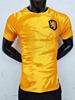 荷兰队金黄色短袖足球，服球衣2223男修身定制印号字运动队服