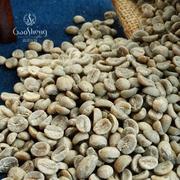 云南AAA咖啡生豆 源产地水洗阿拉比卡云南咖啡豆商用丰富油脂