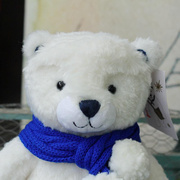 非常乖的小白熊公仔泰迪熊玩偶 手感超级好的熊熊毛绒玩具小