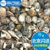 500g北京闪送新鲜花甲海鲜，鲜活花蛤蛤蜊，花蚬子贝类水产